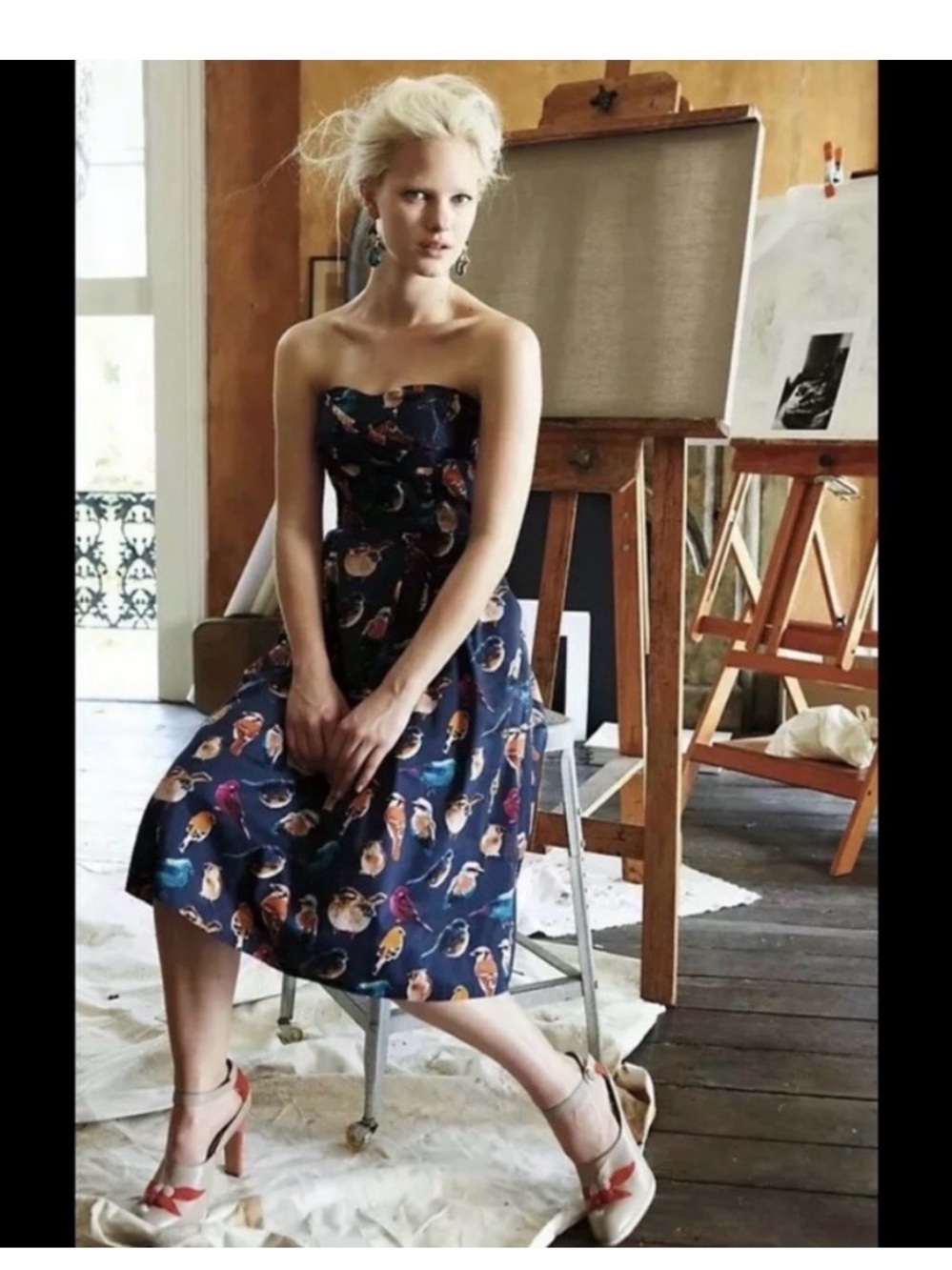 Anthropologie Maeve Native Birds dress Size 4